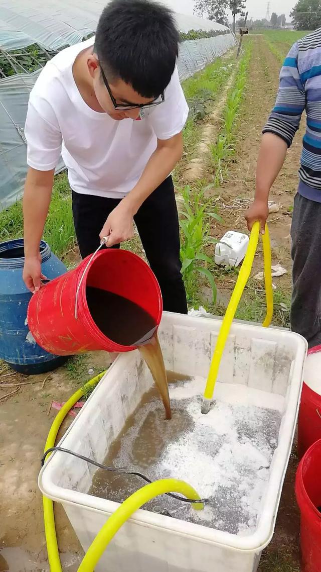 注意！这些“水溶肥”千万别买