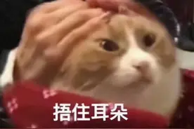 酸了！这家公司给40名员工每人奖一辆车，总价值1500万！还有一家送了39辆宝马…图片