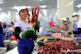 漳州东山：印度洋鱿鱼制品产销两旺图片