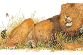 100年以来最经典的21本英文绘本（2-6岁精选篇）图片