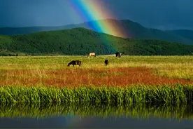 两水夹明镜，双桥落彩虹。——唐代：李白图片