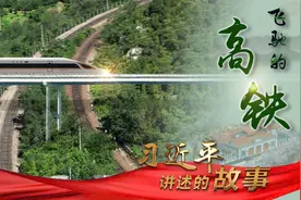 习近平讲述的故事丨飞驰的高铁图片