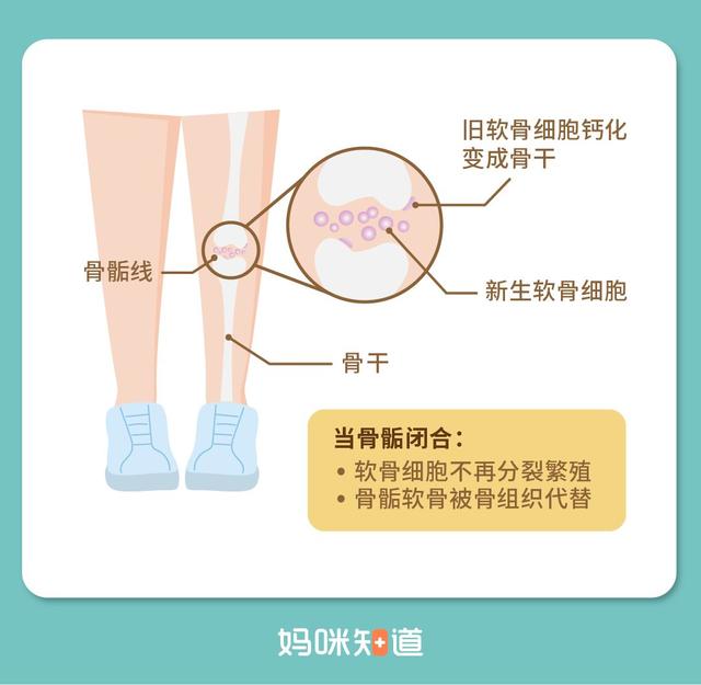 宝爸宝妈看过来：孩子比同龄人矮是“晚长”吗？