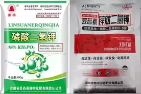 怎么辨别真假磷酸二氢钾？很简单，就用这些方法！图片