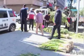 秋菜上市！长春市共设161处销售点图片