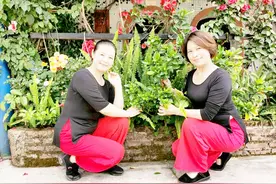 亲姐妹抱团养老7年散伙，70岁老人：姐妹感情散了，关系也断了图片