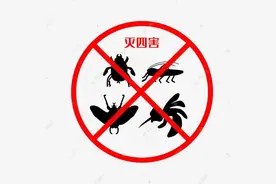 有人说，农村又有新“四害”了，你认同吗？图片