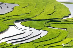 全国耕地质量等级一览图片