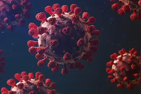 蛇毒可以抵御新冠病毒？巴西科学家最新研究成果，以毒攻毒？图片
