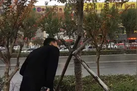 成年人别犯傻——说说清丰这桩深夜KTV门口杀人案图片