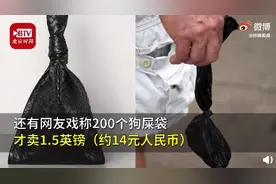 BV推新包，售价超15000元，却被网友调侃：像狗屎袋图片