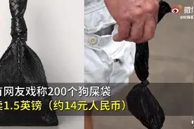 BV推新包，售价超15000元，却被网友调侃：像狗屎袋图片