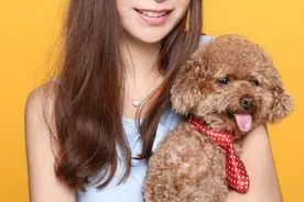 那些便宜又好养的6种小型犬，每一只都不会让你失望图片