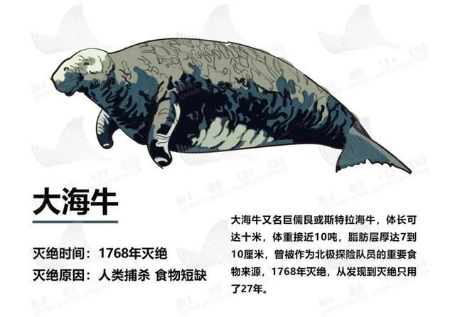 灭绝动物 灭绝动物有哪些(图7) 灭绝动物 灭绝动物有哪些(图7)