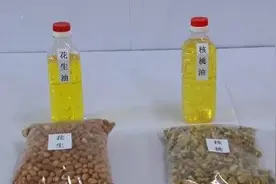 自榨花生油“纯天然”，网友：未必安全健康图片