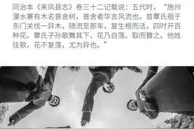 恩施摆手舞，土家人的舞魂图片