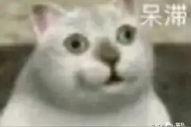 曝光和闺蜜的聊天记录，哈哈哈你们真的不是戏精吗？图片