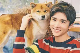 张新成，鉴“表”专业户，这个“狗子”图片