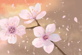 不回你微信的人，别再打扰图片