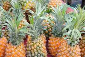 买菠萝，切忌买全黄的，牢记4个窍门，菠萝又香又甜，一挑一个准图片