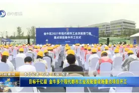 目标千亿级！金牛多个现代都市工业及配套设施重点项目开工图片