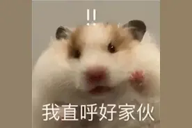 天刀风波持续发酵迎来至暗时刻，氪金千万大佬集体删号泄愤图片