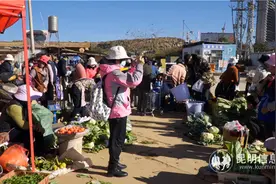 “我们的生活像花儿一样”主题系列外拍活动精彩继续 摄影师一起记录呈贡“小确幸”图片