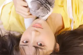 阳光明媚，隔壁妹妹邀请我去他家看小猫图片