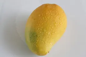 芒果品种不一样口味也不一样，带你认识更多的芒果知识图片
