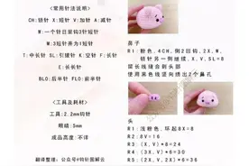钩织图解 猪猪小可爱图片