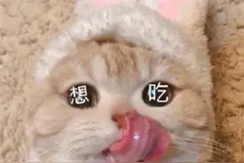偷偷用宝宝的奶粉，教你做两道小点心，好吃到停不下来图片