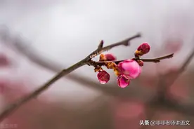北京市首都师大附属密云中学2021-2022学年高二10月月考语文试题图片