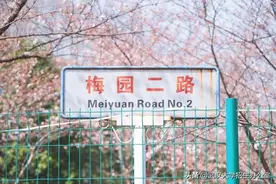 占地5000余亩，这所“中国最美大学”，坐拥宫殿式教学楼、宿舍楼，有23个食堂！图片