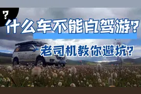 哪些车不适合自驾游？老司机教你如何避坑图片