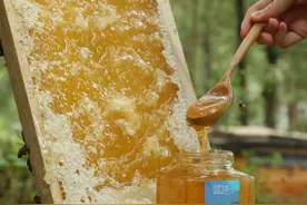 哪里巢蜜好？新巢蜜好还是老巢蜜好？图片