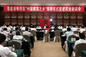 吴川是建筑装饰之乡，电白是中国建筑之乡。吴川富豪比电白多？图片