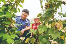 江苏新沂叶海村：起飞在希望的田野上图片