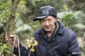 两个儿子遭遇不幸，古稀老人借住山里带病放牛，帮助残疾儿子创业图片