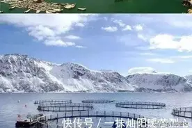 中国制造价值4.2亿元鱼缸一次养鱼150万条！吃货再也不愁啦图片