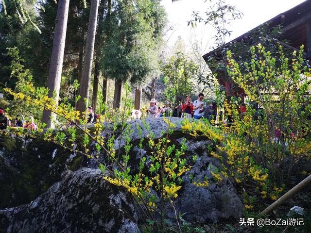 到四川绵阳市旅游不能错过的18个景点，你去过几个？最爱哪个景点