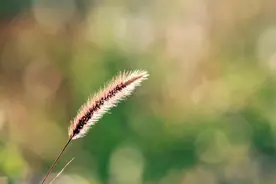 大医精诚所为何图片