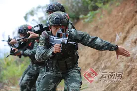 云南武警：特战队员热带丛林反恐演练 锻造反恐"尖刀"图片