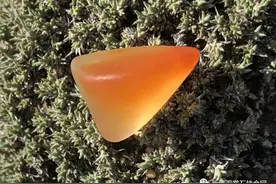 皇冠之首——宝石光图片