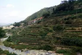 南安版乌龙山剿匪记：“白云纵队”戴天眷的覆灭图片