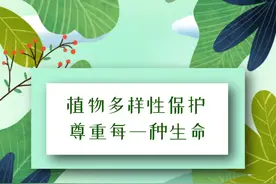 植物多样性保护：尊重每一种生命图片
