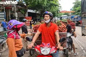 越南荔枝将大量进军中国，成为其重要国际市场，消耗一半以上产量图片