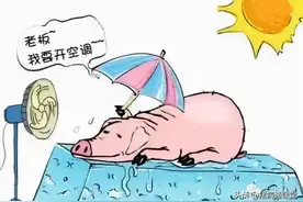 全面概括！母猪产新鲜死胎的10大原因图片