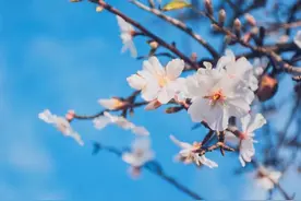 男女关系中，有一种“债”，还不清图片