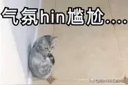 江苏镇江：因崇拜警察网购假警服：别人看自己的眼光不一样图片