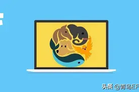 这几个野生动物家庭间的故事，传递出了关于责任、勇气、成长和爱图片